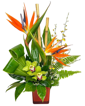 Standard size, 22 inches height and 15 inches wide.