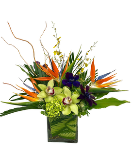 Standard size, 18 inches height and 21 inches wide.
