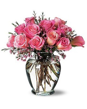 Standard size, 13 inches height and 12.5 inches wide.
