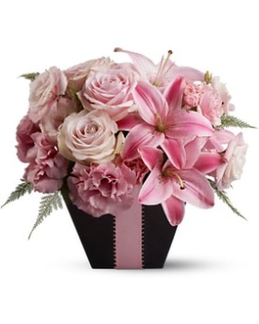Standard size, 11 inches height and 11.50 inches wide.