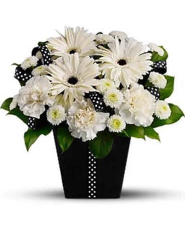 Standard size, 11.50 inches height and 11.50 inches wide.