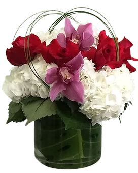 As Shown size, inches height and inches wide.