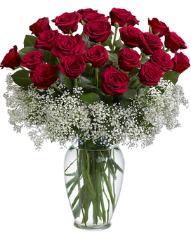 In White size, inches height and inches wide.