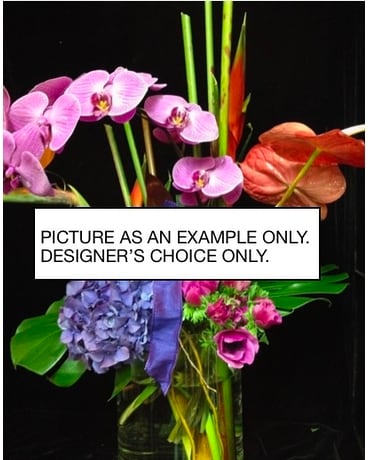 Standard size, inches height and inches wide.
