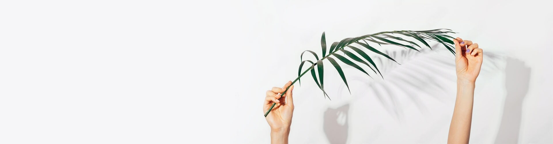 Palms and Greens for Palm Sunday