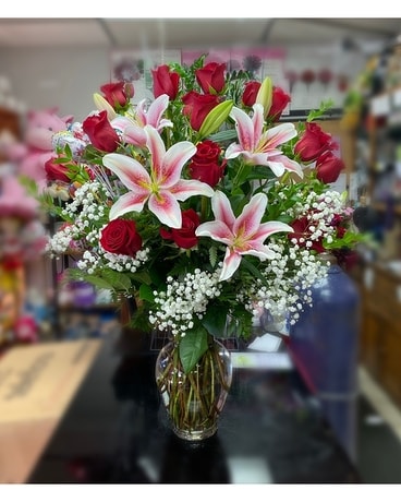 Two Dozen size, inches height and inches wide.
