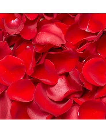 200 Petals size, inches height and inches wide.