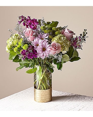 Deluxe size, inches height and inches wide.