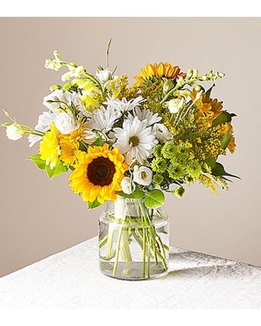 Deluxe size, inches height and inches wide.
