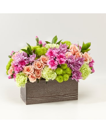 Deluxe size, inches height and inches wide.