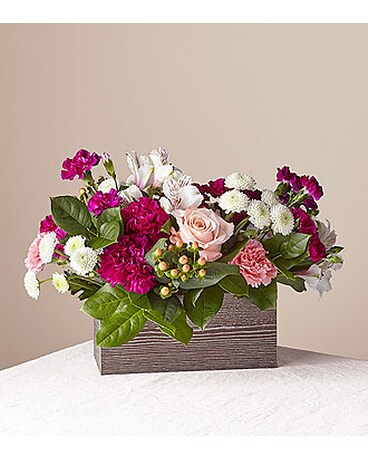 Deluxe size, inches height and inches wide.