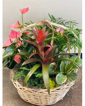 As Shown size, 15 inches height and 18 inches wide.
