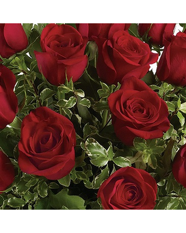 Standard Hand Tied size, inches height and inches wide.