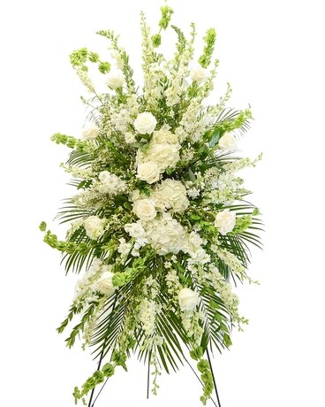 As Shown size, inches height and inches wide.
