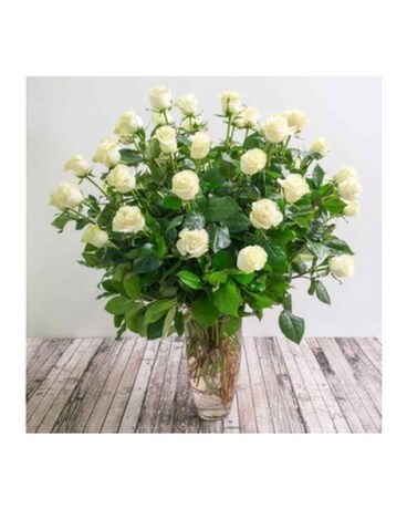 4 Dozen Long Stem size, inches height and inches wide.