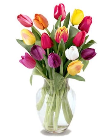 MIXED TULIPS IN A VASE Flower Arrangement