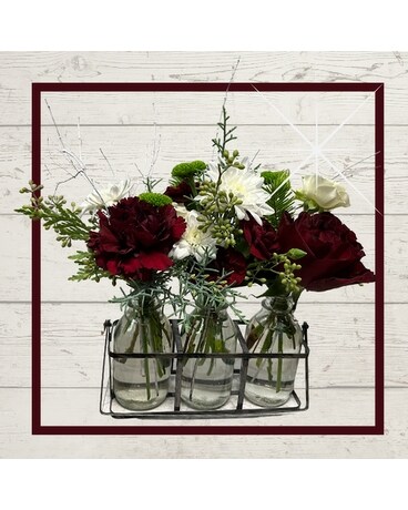 Reds & Whites size, inches height and inches wide.