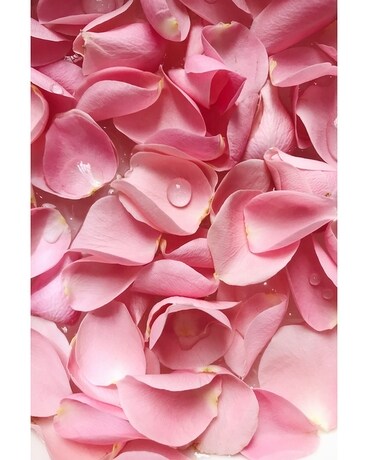 Pink Rose Petals- Bag size, inches height and inches wide.
