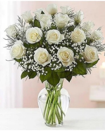 1 Dozen size, inches height and inches wide.