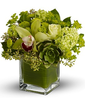 Standard size, 11 inches height and 12 inches wide.