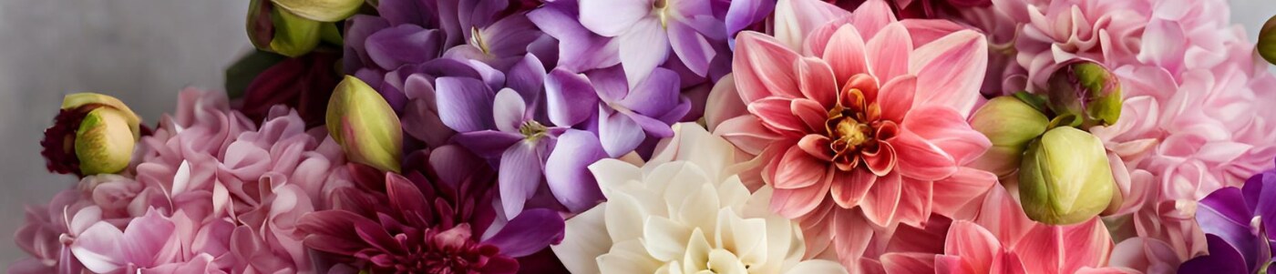 get well flowers sashae