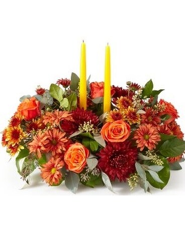 Premium size, 11 inches height and 20 inches wide.
