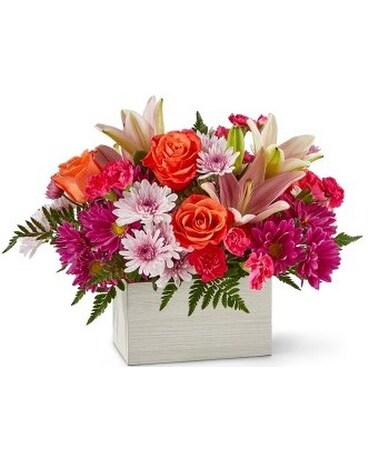 Deluxe size, 11 inches height and 13 inches wide.