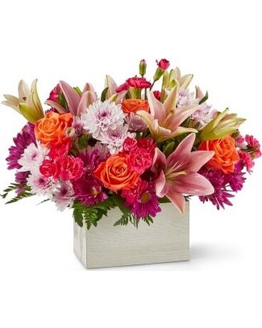 Premium size, 12 inches height and 15 inches wide.