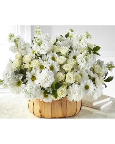 Premium size, 17 inches height and 25 inches wide.