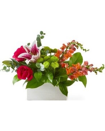 Deluxe size, 13 inches height and 17 inches wide.