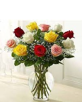 12 Assorted Roses size, inches height and inches wide.