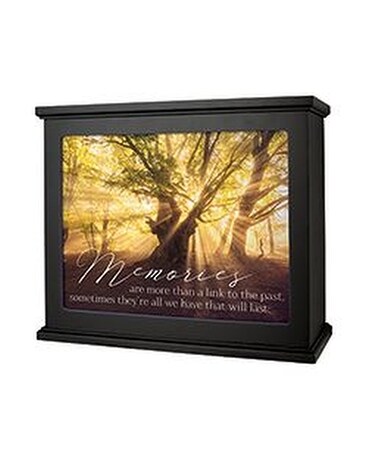 Standard-2 size, 9 inches height and 10.75 inches wide.