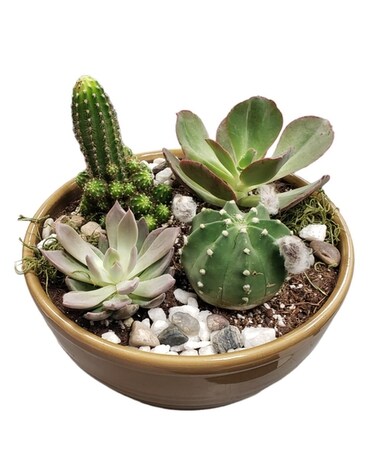 Standard size, inches height and 9 inches wide.