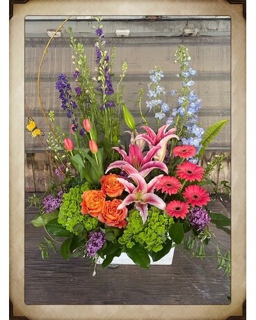 Premium (As Shown) size, inches height and inches wide.