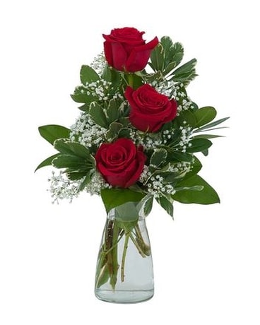 3 Roses size, inches height and inches wide.