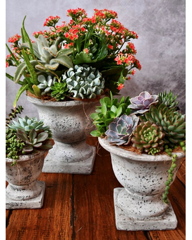 large size, inches height and inches wide.