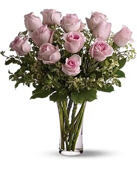 Precious Pink-24 size, inches height and inches wide.