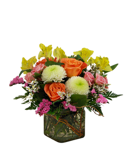 Cute As Shown size, 11 inches height and 11 inches wide.