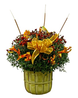 Double Basket w/ Decor size, inches height and inches wide.