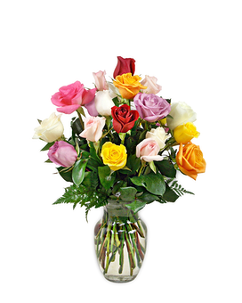 24 Medium Assorted Roses As Shown size, inches height and inches wide.
