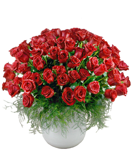 As Shown 150 Red Roses size, 36 inches height and 36 inches wide.