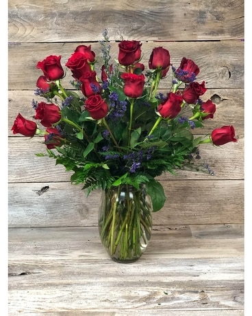 Two Dozen size, inches height and inches wide.