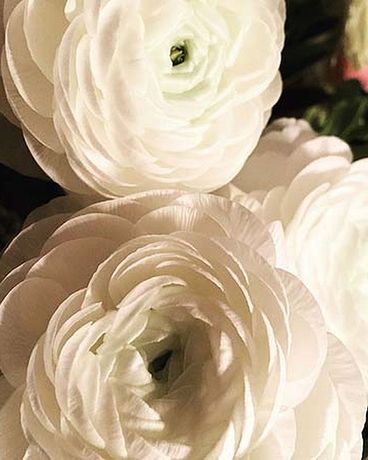 Breathtaking size, inches height and inches wide.