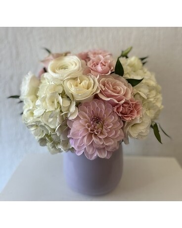 Large size, inches height and inches wide.