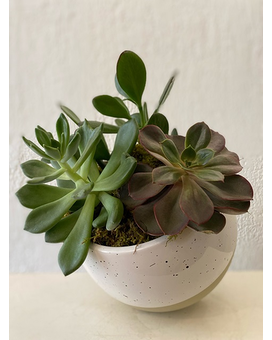 Exceptional size, inches height and inches wide.
