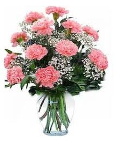 12 carnations arranged specify colors size, inches height and inches wide.