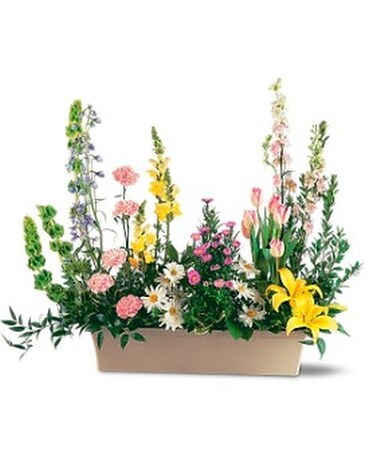 As Shown size, inches height and inches wide.