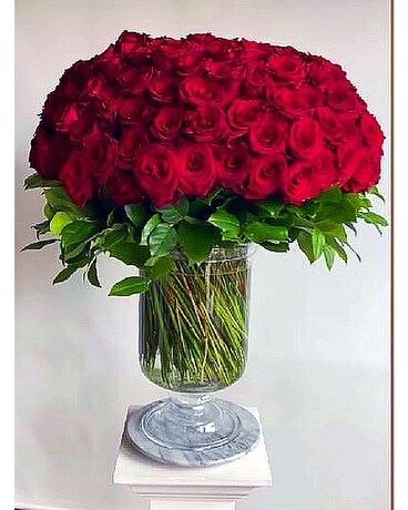 Deluxe size, inches height and inches wide.