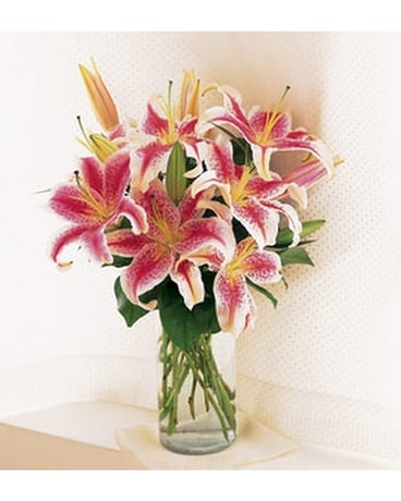 As Shown size, inches height and inches wide.