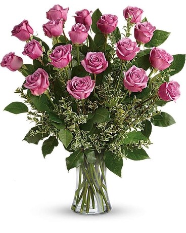 Deluxe (2 dozen) size, 23 and a half inches height and 21 inches wide.